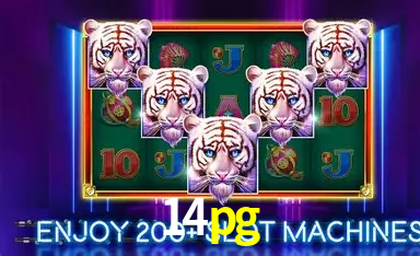 14pg: A Experiência de Casino com Jogos de Mesa ao Vivo